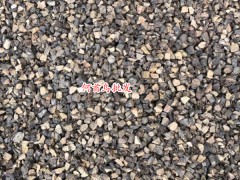 人工種植何首烏價格多少錢一斤？種植幾年可以收？投資成本和市場前景如何？圖1