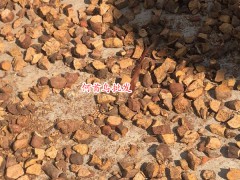 人工種植何首烏價格多少錢一斤？種植幾年可以收？投資成本和市場前景如何？圖3