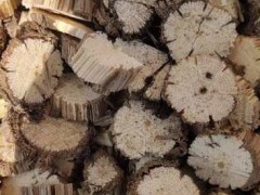2020年木通多少錢一斤？木通種植前景圖2