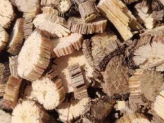 2020年木通多少錢一斤？木通種植前景圖3