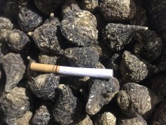 [2020-04-23]哪里有賣瑪咖 瑪咖一斤多少錢 附各地瑪咖新價(jià)格表圖3