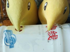 2020年小臺(tái)農(nóng)多少錢一斤？小臺(tái)農(nóng)種植前景圖3