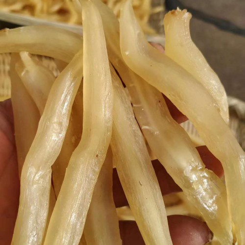 中藥材天冬價(jià)錢多少錢一斤？天冬和麥冬有什么差別？