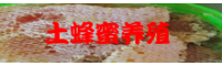 天然的土蜂蜜多少錢一斤？怎樣分辨真假？如何找尋天然的蜂蜜窩？