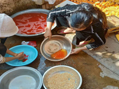 重樓怎么種？種子催牙技術(shù)性是如何的？圖3