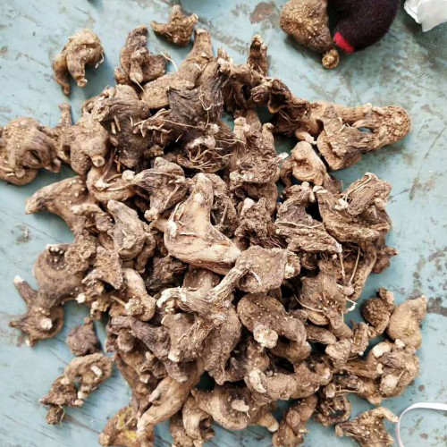 白芨的病蟲(chóng)害怎樣治？如何預(yù)防_預(yù)防的辦法有哪些