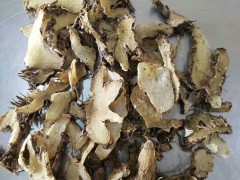 白芨的病蟲害怎樣治？如何預防_預防的辦法有哪些圖3