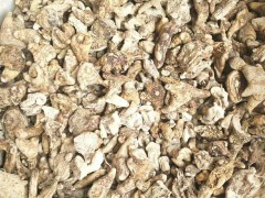 白芨價(jià)格是多少？白芨種植繁育基地圖3