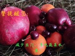 “子孫滿堂吉祥物設(shè)計(jì)”石榴籽能吃嗎？孕婦能吃嗎？種植技術(shù)性有什么？圖3