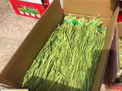 保山干貢菜價格_貢菜價格多少錢一斤圖3