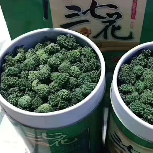 三七花|河北保定批發(fā)銷售價格