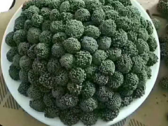 三七花|安徽三七花批發(fā)銷(xiāo)售價(jià)格圖1