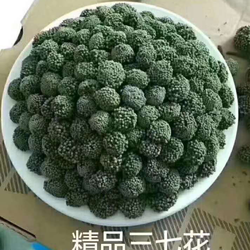 三七花|安徽三七花批發(fā)銷售價(jià)格