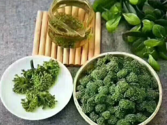 三七花|云南昆明市 三七花批發(fā)市場價格圖2