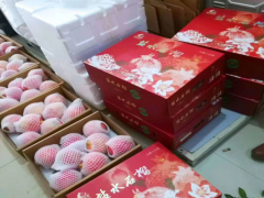 突尼斯軟籽石榴 廣東廣州市軟籽石榴價(jià)格圖3