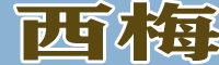 西梅、加州西梅、歐洲李苗圃圖片性（附行情價格）