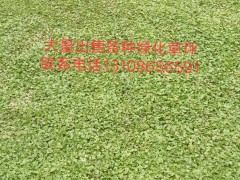 簡(jiǎn)介：