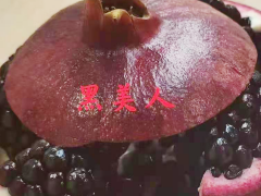 陜西臨潼、潼關(guān)  山東棗莊黑籽石榴樹苗-滇澤王黑美人石榴苗圖2