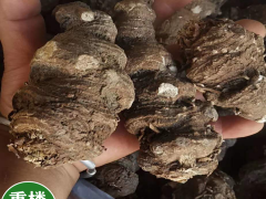 昆明除草劑_中藥材除草劑供應(yīng)商圖3