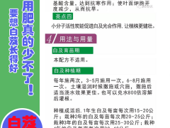 獨(dú)定子專用肥料/獨(dú)定子（金鐵鎖）營(yíng)養(yǎng)液-增產(chǎn)抗病圖2
