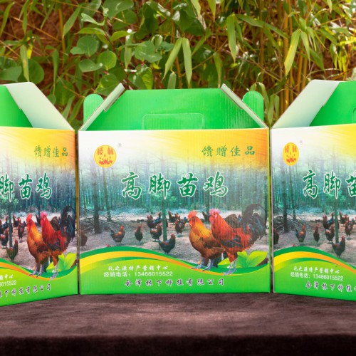 林下養(yǎng)殖模式的優(yōu)缺點詳解