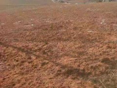云南蒙自土地出租|云南土地出租價格|祿勸土地信息圖1