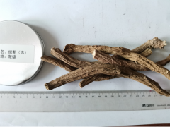 大量續(xù)斷/云南/楚雄續(xù)斷中藥材價(jià)格，參數(shù)，報(bào)價(jià)，圖片圖1