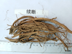 大量續(xù)斷/云南/楚雄續(xù)斷中藥材價(jià)格，參數(shù)，報(bào)價(jià)，圖片圖2