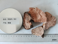 云南楚雄大量何首烏供應(yīng)。價格。圖片。楚雄和康公司信息。圖1