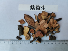 桑寄生和綠寄生的區(qū)別，哪個(gè)更好圖1