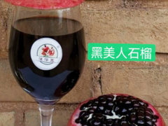 銅仁大果黑籽甜石榴苗-滇澤王 黑籽甜石榴果市場(chǎng)價(jià)格 黑籽甜石榴樹(shù)苗批發(fā)圖1