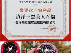 銅仁大果黑籽甜石榴苗-滇澤王 黑籽甜石榴果市場(chǎng)價(jià)格 黑籽甜石榴樹(shù)苗批發(fā)圖2