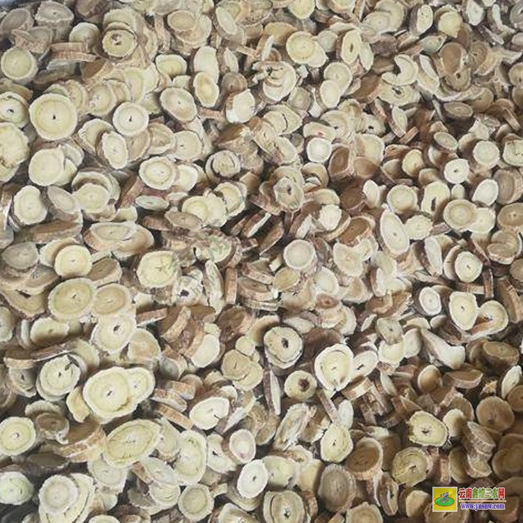 能種植通草的地方 川木通圖片 云南通草價(jià)格多少錢(qián)一斤