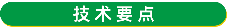 天冬苗 天門(mén)冬種苗批發(fā)供應(yīng) 天冬種苗價(jià)格 天冬種植 基地現(xiàn)挖現(xiàn)發(fā)