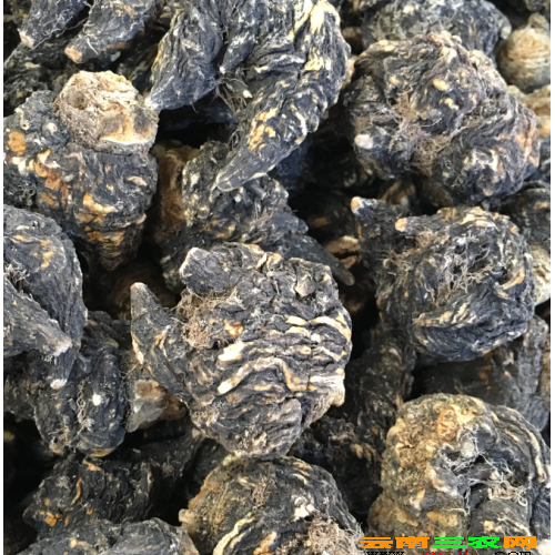 云南黑瑪卡價格_黑瑪卡批發(fā)產(chǎn)地信息
