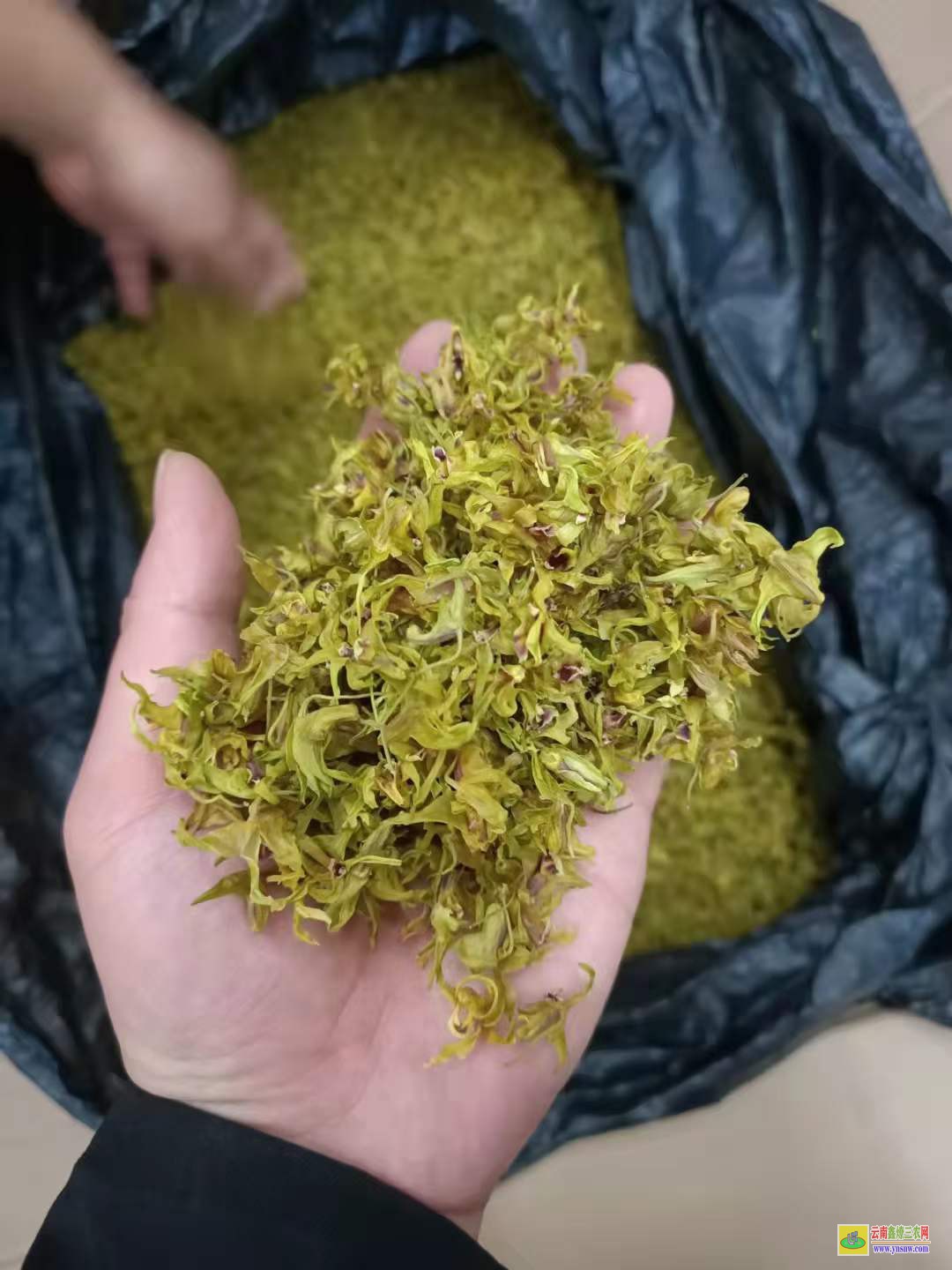石斛粉多少錢一斤 石斛花價(jià)格多少錢一斤 鐵皮石斛多少一克