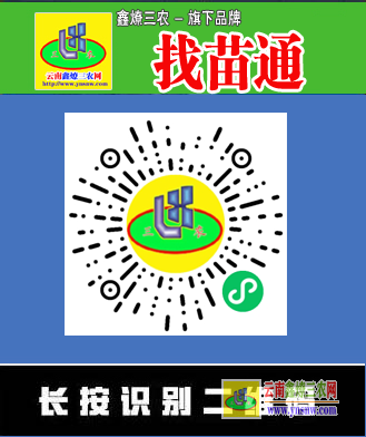廣州果樹(shù)苗批發(fā)市場(chǎng)在哪里 盆栽果樹(shù)苗批發(fā)市場(chǎng)在哪里 微信搜一搜｛找苗通｝小程序