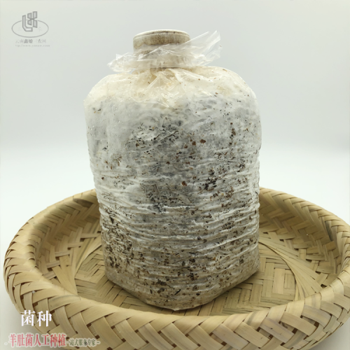 北京2022年羊肚菌價(jià)格表 羊肚菌廠家批發(fā)價(jià) 怎么賣