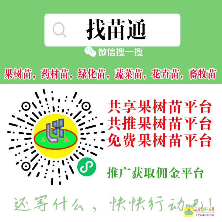 海南樂東葡萄苗木平臺 微信搜一搜[找苗通] 蔬菜菜苗發(fā)布信息平臺網(wǎng)站