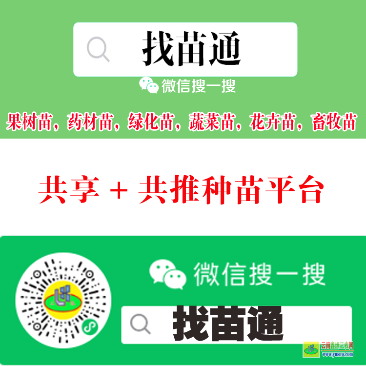 陜西漢中求購信息 微信搜一搜[找苗通] 蔬菜苗銷售平臺