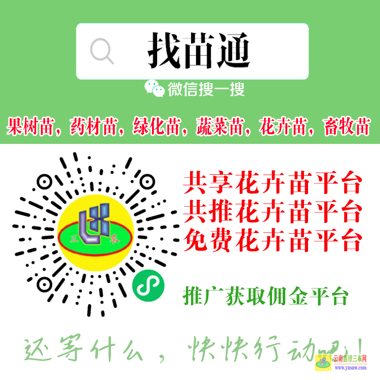 德宏藥材苗銷售在哪個平臺 微信搜一搜[找苗通] 北京苗木求購信息平臺
