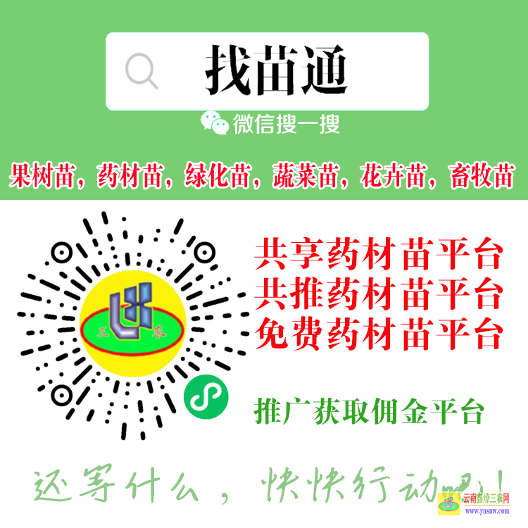 德宏藥材苗銷售在哪個平臺 微信搜一搜[找苗通] 北京苗木求購信息平臺
