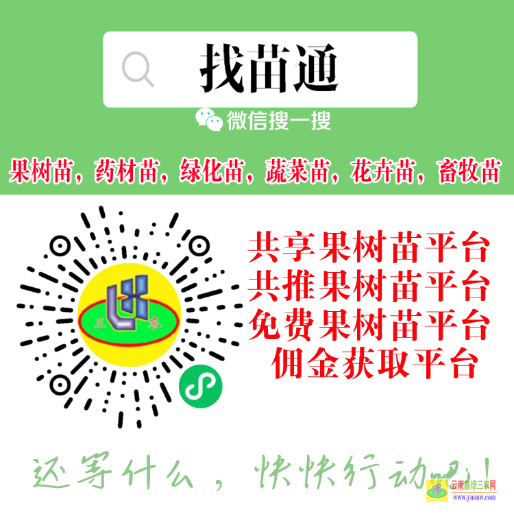 德宏藥材苗信息平臺 微信搜一搜[找苗通] 成冠果樹苗展示平臺