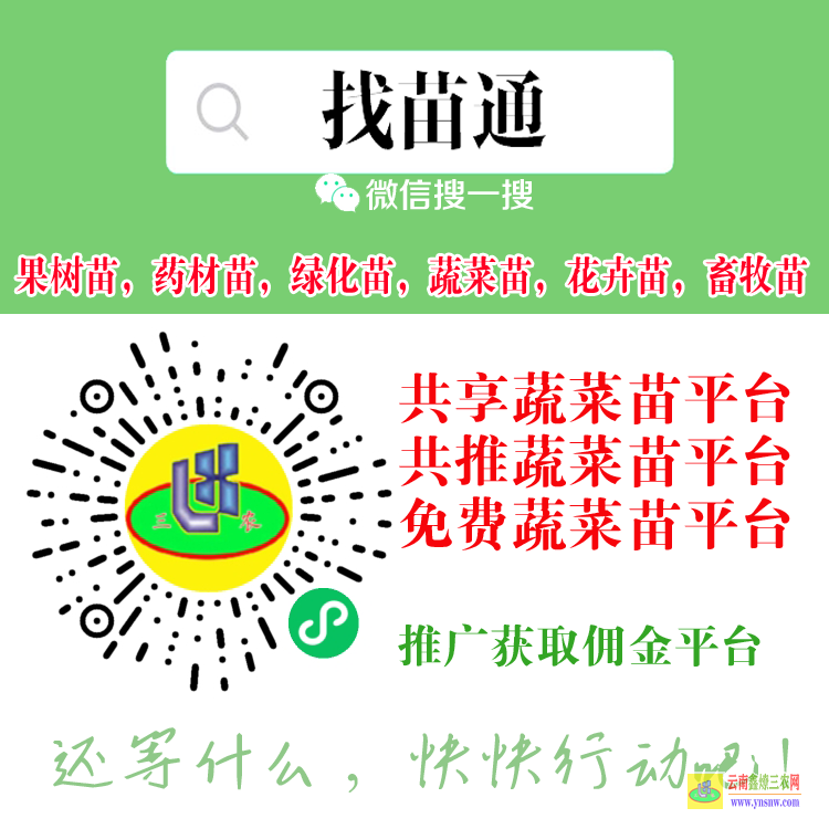 蒙自哪個(gè)平臺(tái)可以買蔬菜苗 微信搜一搜[找苗通] 老品牌苗木公司平臺(tái)