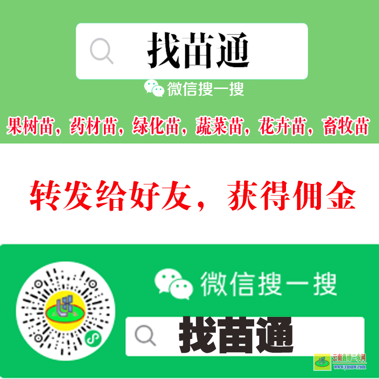 雙江【蔬菜苗信息平臺(tái) 微信搜一搜[找苗通] 苗木草坪平臺(tái)