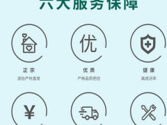 云南獅頭鵝苗 貴州獅頭鵝苗公司 大三花鵝苗價(jià)格圖1