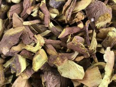 續(xù)斷的種植及價(jià)格&中藥續(xù)斷多少錢一斤?圖2