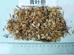 簡介：