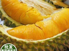 榴蓮價格多少錢一斤圖1