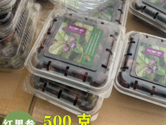 哪里有賣孜然 孜然一斤多少錢圖3